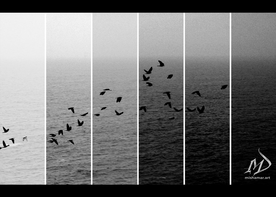 Sea Me I