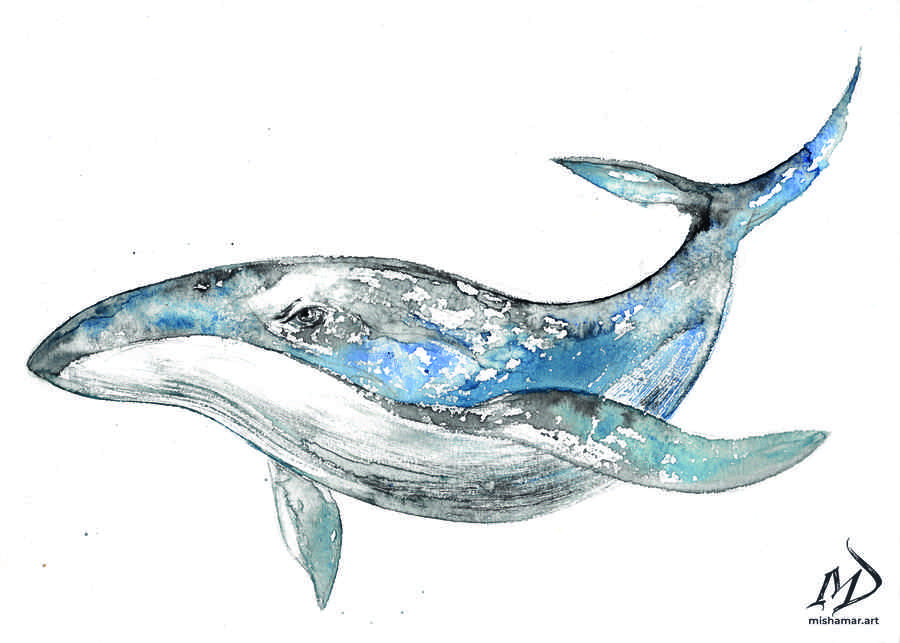 Blue Whale Print