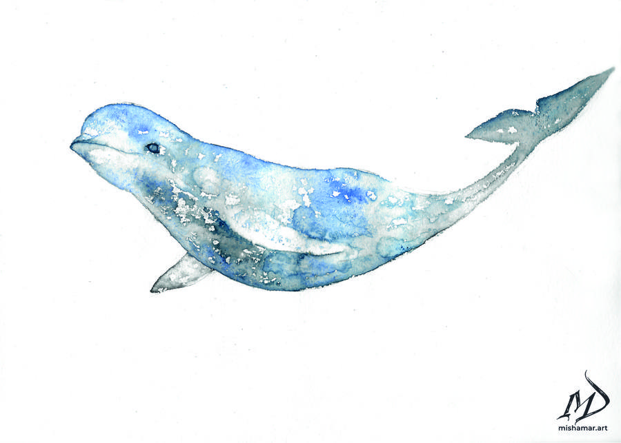 Beluga whale print