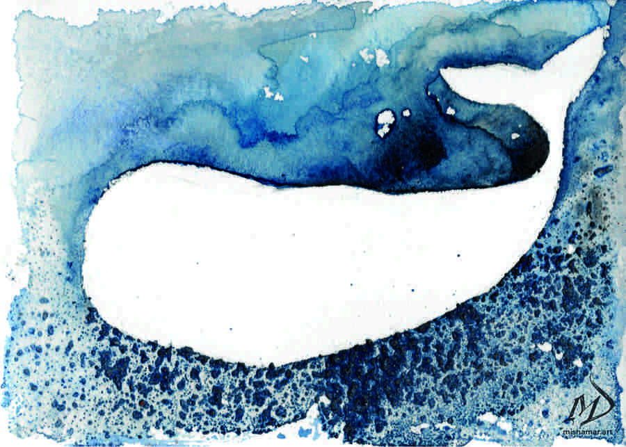 Sperm whale print
