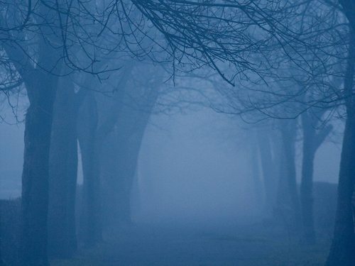 Cyanotype